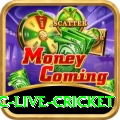 smartcric live cricket Turbo v3.6.6