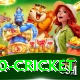t20 cricket Games (Casino & Earning) Deluxe v2.1.0