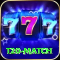 t20 match Premium Plus v1.9.6