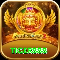 tiger888 VIP Pro vv5.4.8