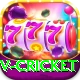 v cricket VIP Pro v4.8.3