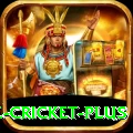 watch live cricket Slots Premium v2.0.4