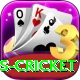 west indies cricket Plus Edition v3.7.9