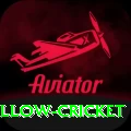 willow cricket Max Pro v3.7.5