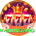 willow cricket Ultimate Casino App