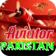 win money online pakistan Deluxe v2.8.7